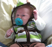 Moose!